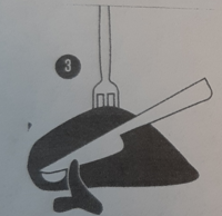 3. Schritt wie man eine Gans zerlegt